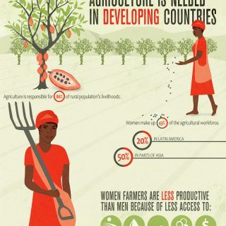 The Global State Of Agriculture