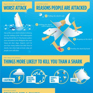 Shark Week Part 2: A Shark Survival Guide