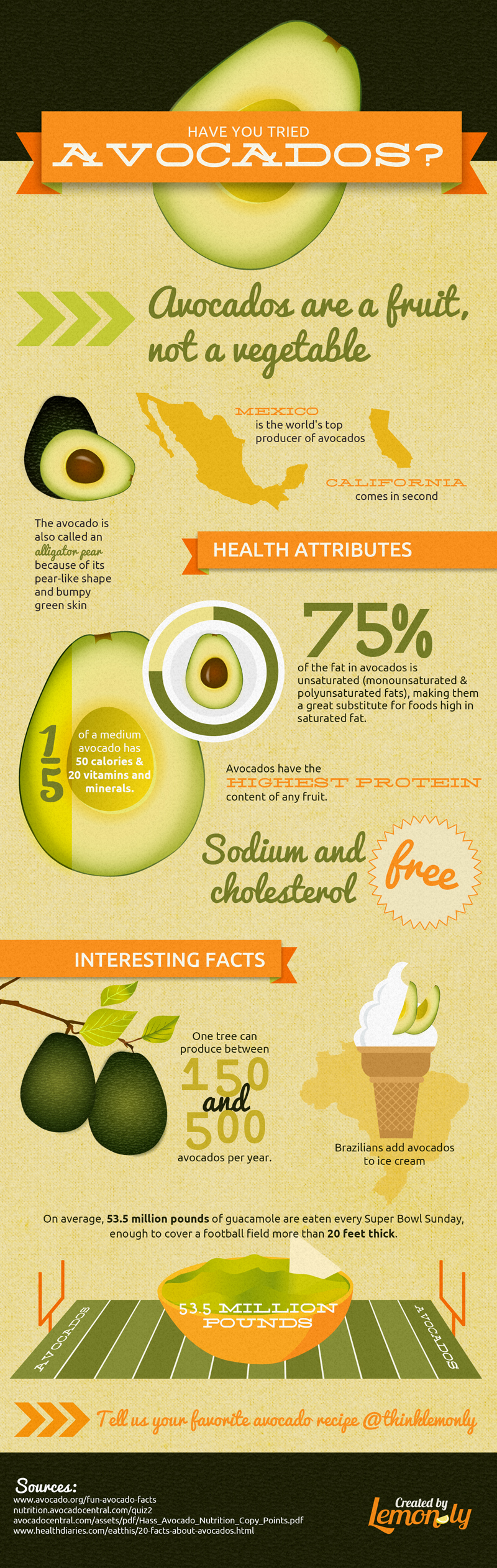 All About Avocados: An Avocado Facts Infographic