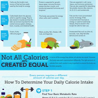 The Complete Guide To Calories