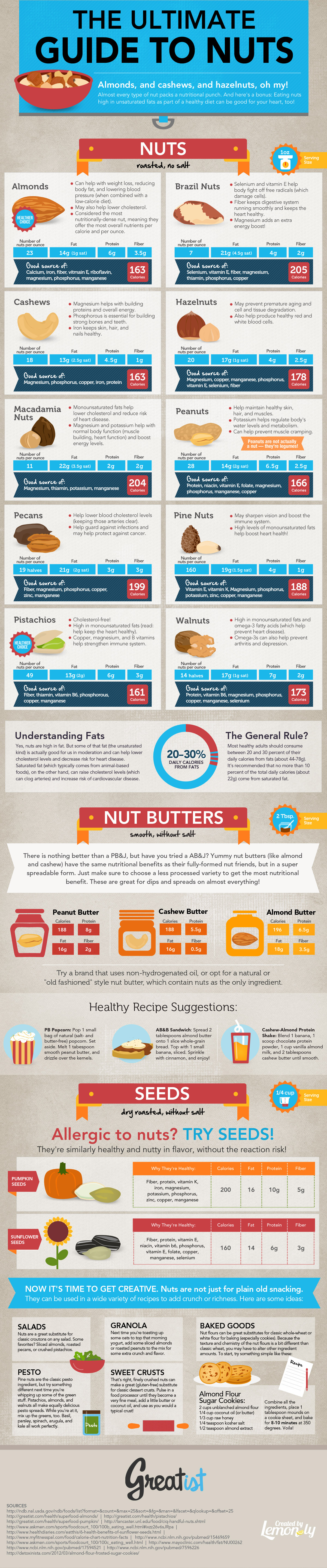 The Ultimate Guide To Nuts | Best Food Infographics