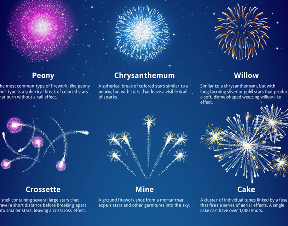firework infographic