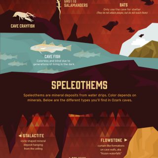 Under The Ozarks: Cave Facts