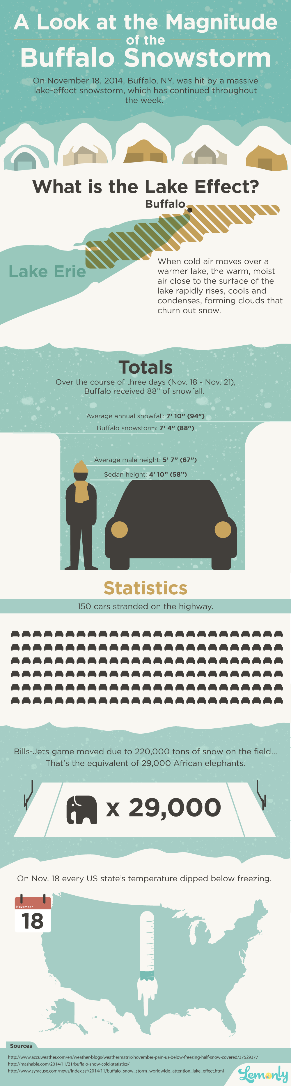 A Look at the Buffalo Snowstorm 2014 Infographic