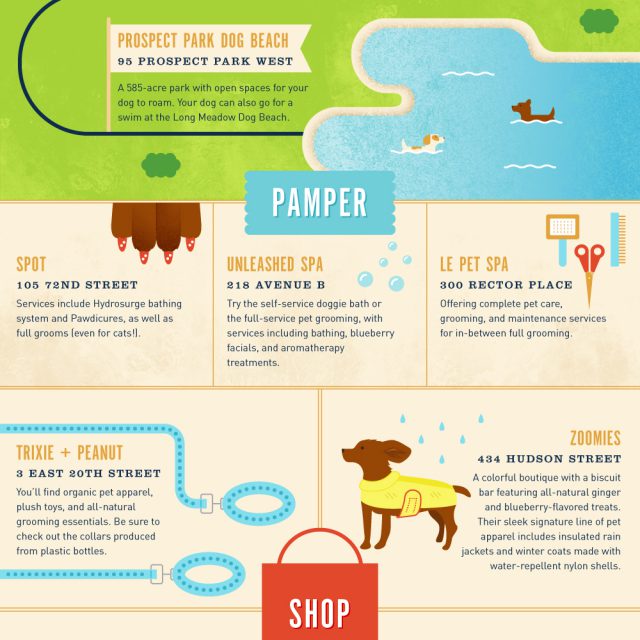 "Can My Dog Have...?" Infographic by Lemonly