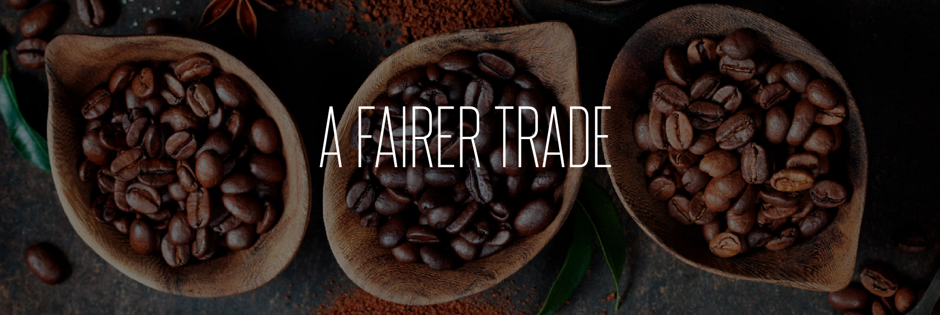 Longform Storytelling Fairer Trade Snippit