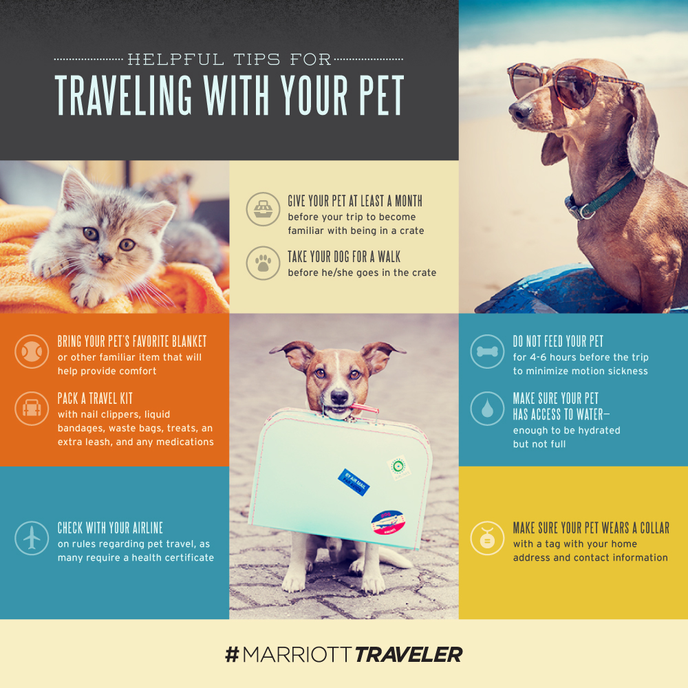 Tips For Traveling With Your Pet