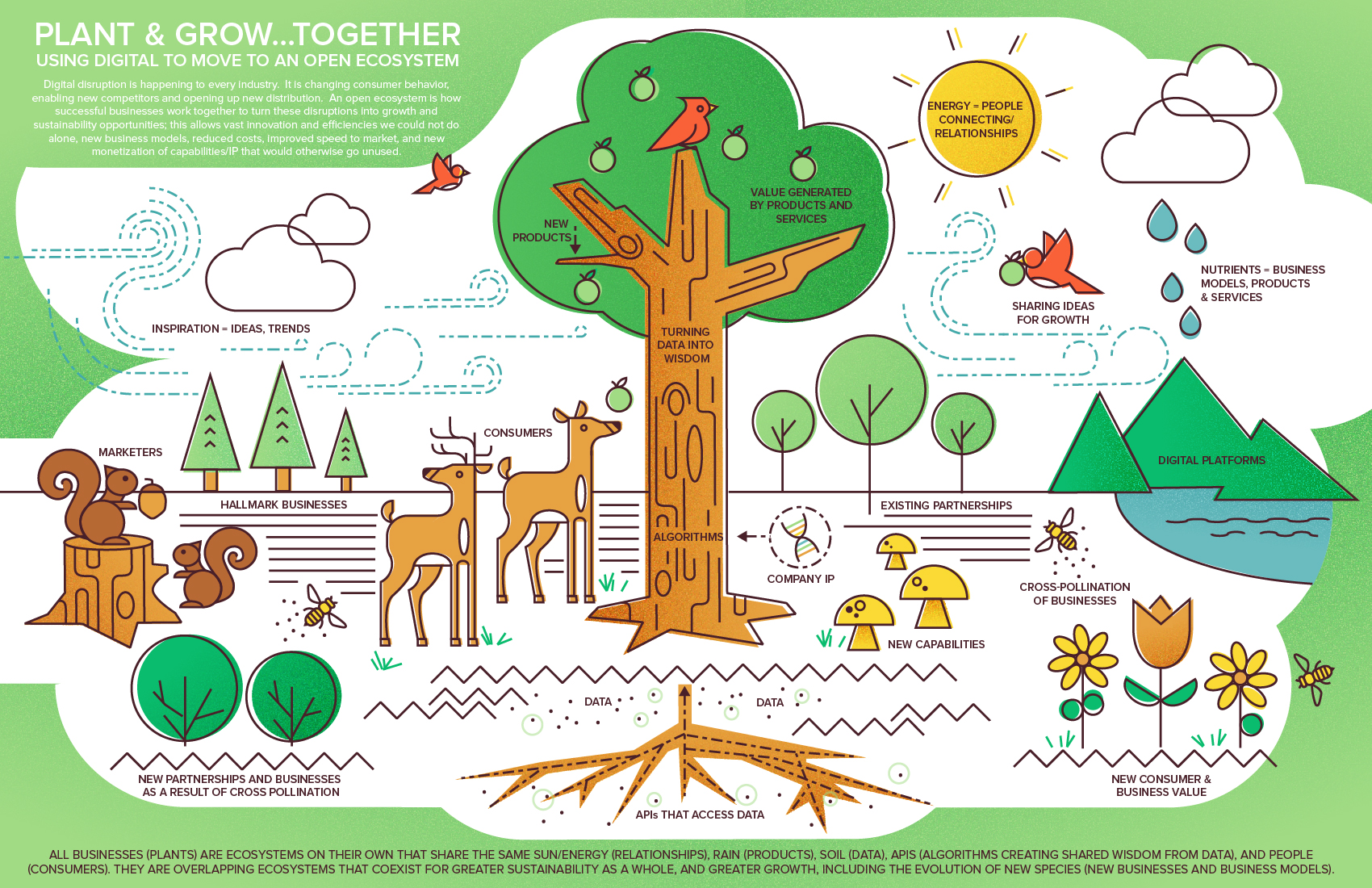 types-of-ecosystems-with-examples-plants-anchor-charts-ecosystems