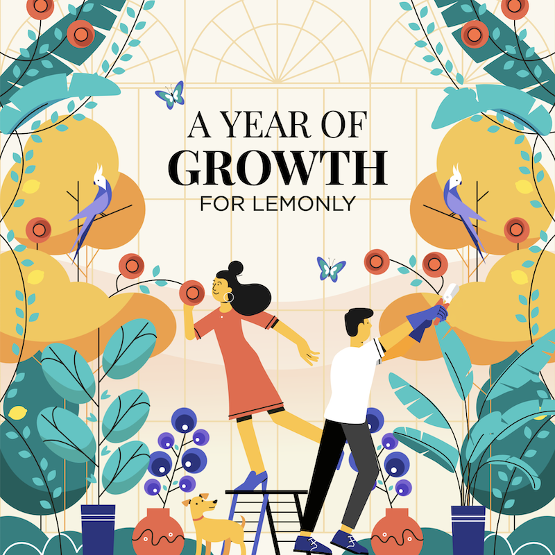 Lemonly 2018 Annual Report Preview