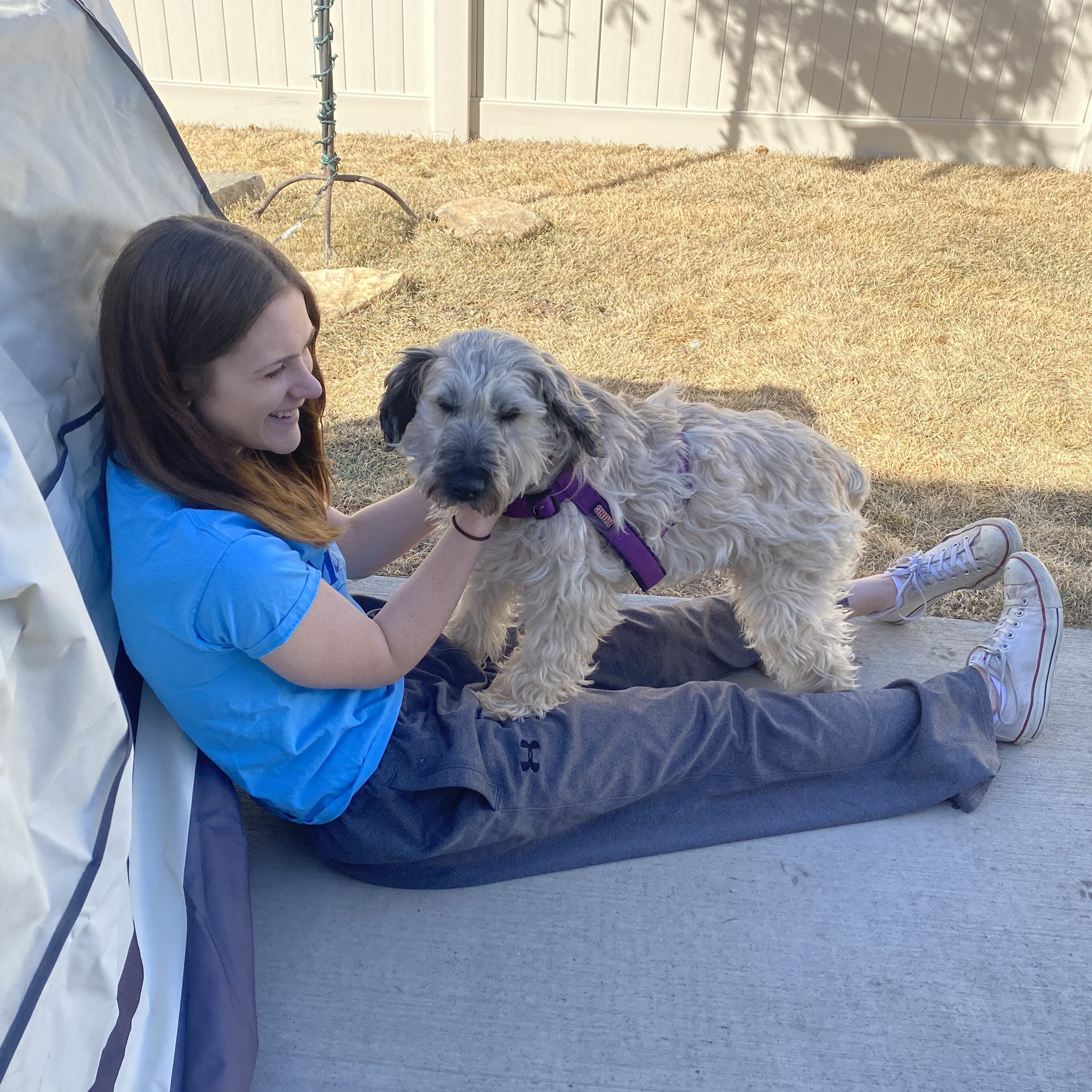 Photos of Lemonly interns Ella and Hayleigh with their dogs, Hazel and Este