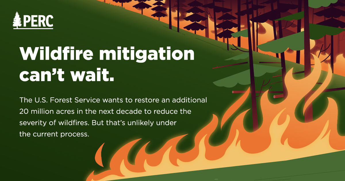 Wildfire Mitigation Can't Wait Lemonly Infographics