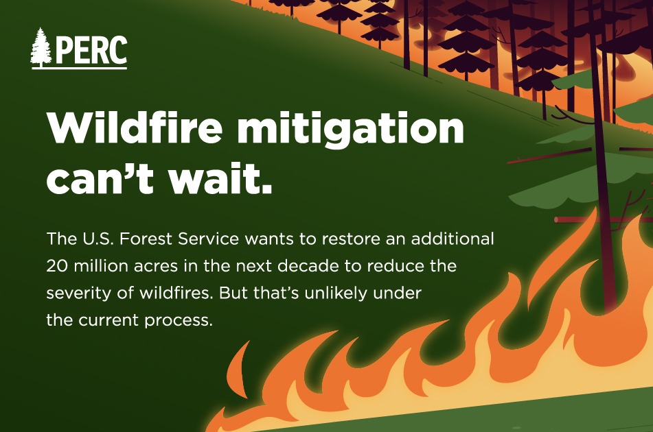 Wildfire Mitigation Can’t Wait