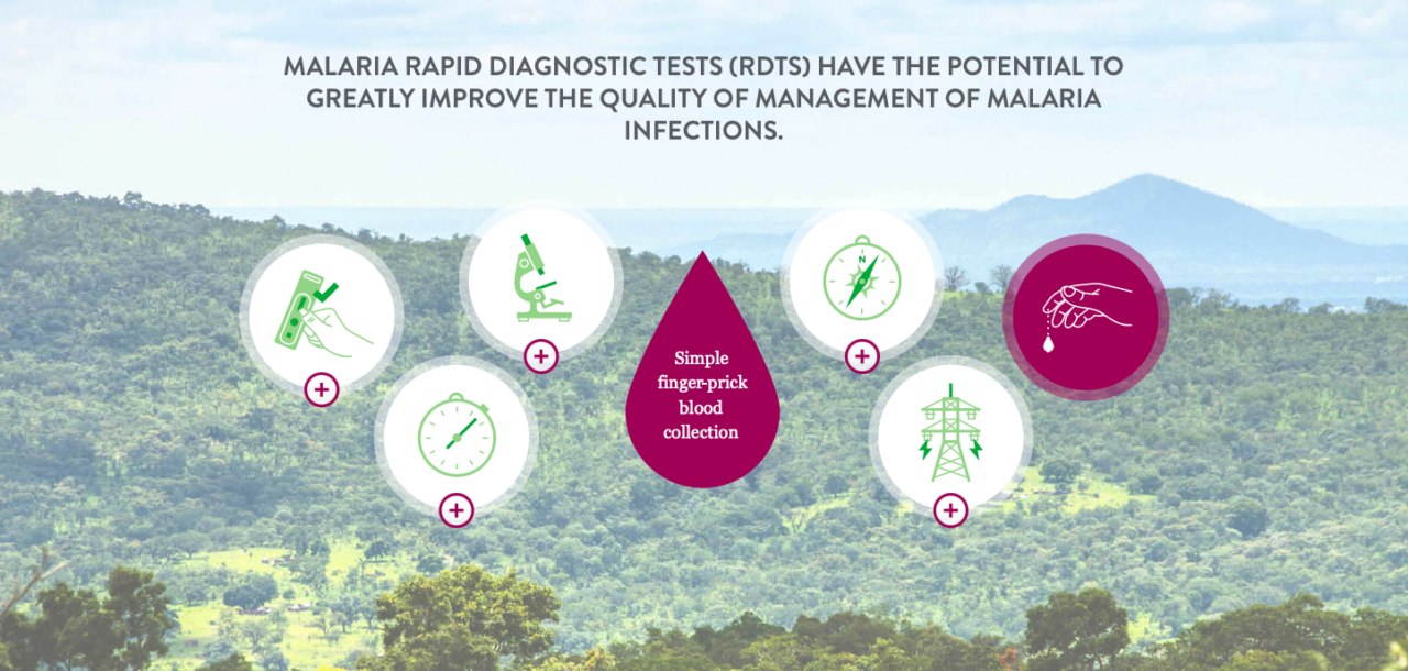 Preview of Malaria-Free Future interactive infographic for Abbott