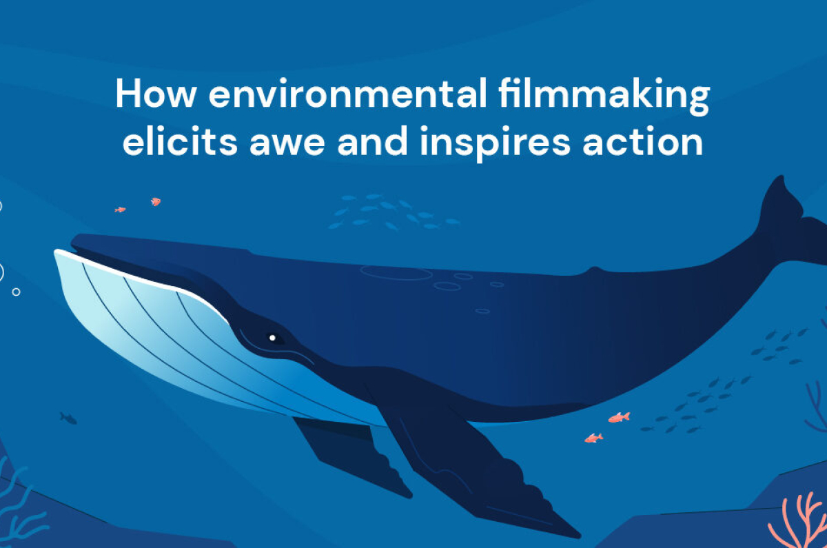 How Environmental Filmmaking Elicits Awe and Inspires Action