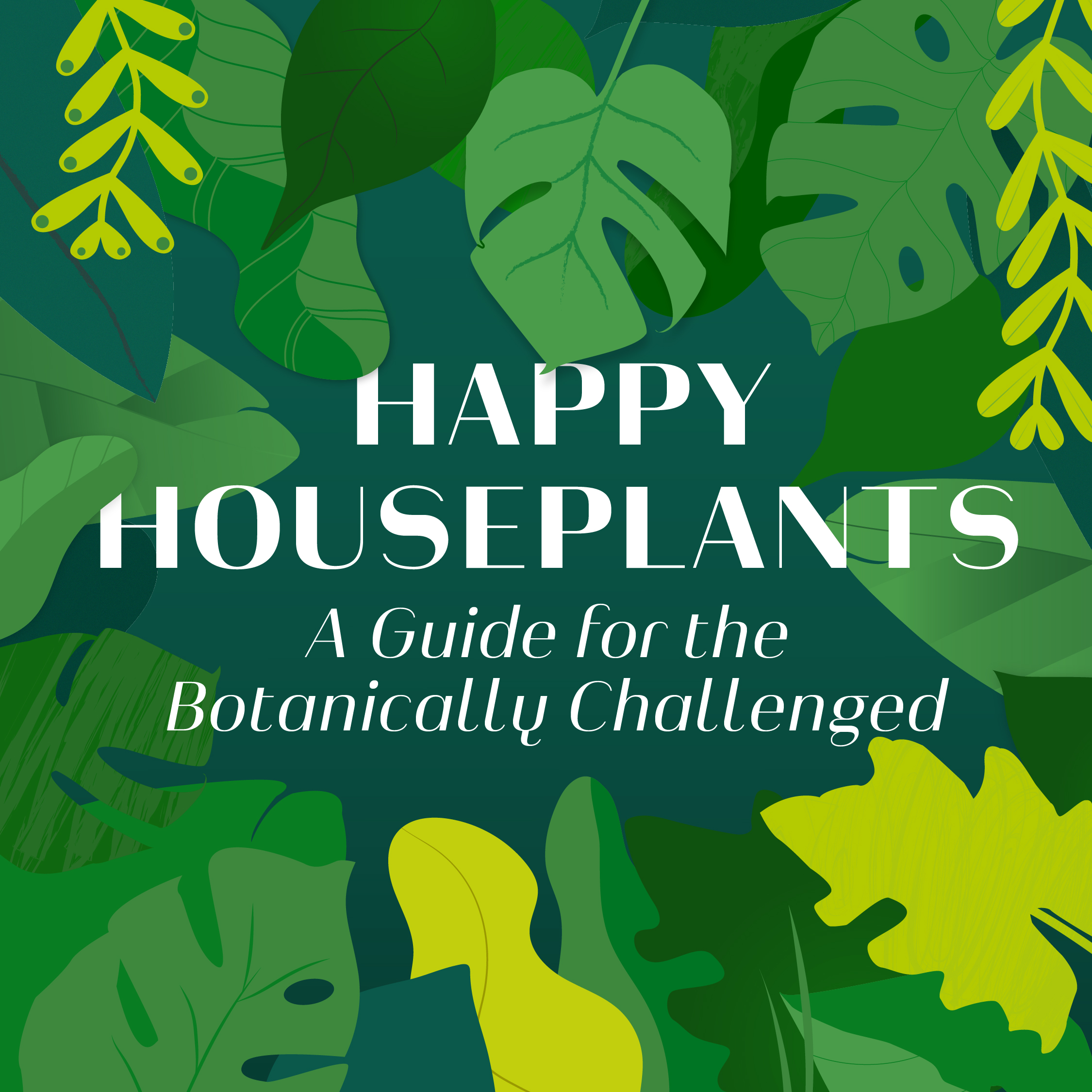 Happy Houseplants: A Guide for the Botanically Challenged