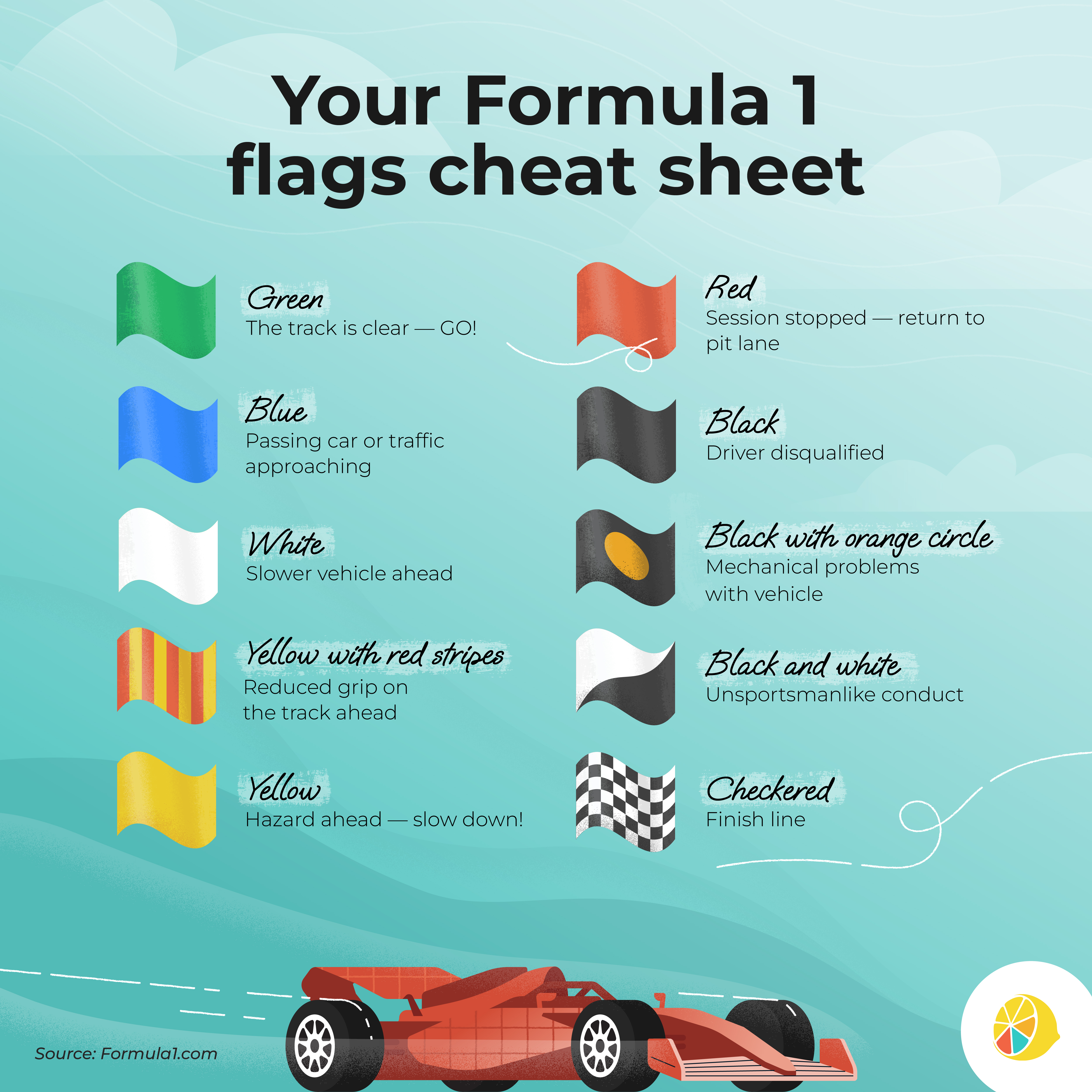Formula 1 Flags Cheat Sheet